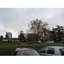 2012-11-19_13-01-39