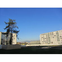 2013-04-17_09-02-48