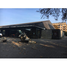 2017-11-19_09-51-11