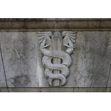 Genève-Abri de la Madeleine-2011-2