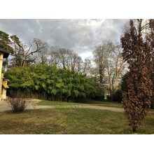 2019-01-01_14-47-54