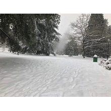 2019-01-01_14-48-19