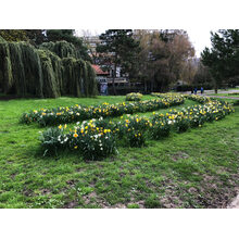 2019-01-01_14-49-55