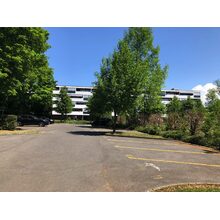 2019-01-01_14-53-31