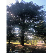 2019-05-31_17-56-50