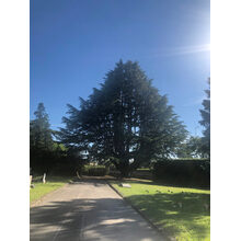 2019-05-31_18-05-19