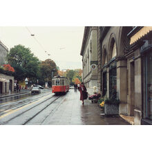 1986 (1)
