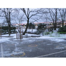 2008-12-12_09-05-42 copie