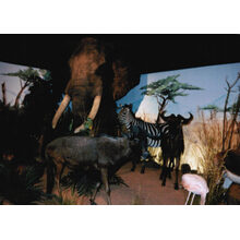 4267B80B-BEA0-45A1-BE5B-392BD0BE49F2