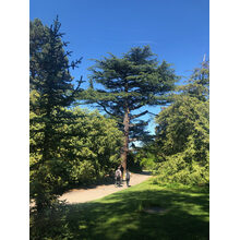 Avenue de la Paix 2019-05-31_15-57-08