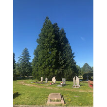 Avenue du Cimetière 2019-05-31_17-47-20