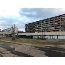 Avenue Sainte-Cécile 2019-02-03_17-15-01