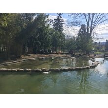Chemin de l'Impératrice 2017-03-26_12-31-46
