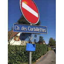 Chemin des Corbillettes 2017-04-08_12-22-56