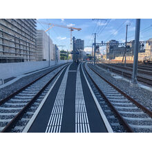Chemin des Mérinos 2019-05-26_18-37-13