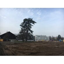 Chemin du Jonc 2016-12-13_15-06-13