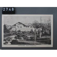 Fel_002748-RE