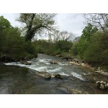Route de l'Allondon 2015-04-26_12-02-59