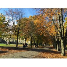2015-10-29_14-09-06