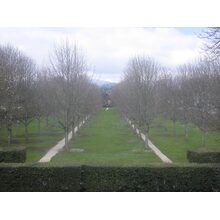 2006-04-06_10-49-40