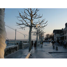 2005-01-29_17-24-45