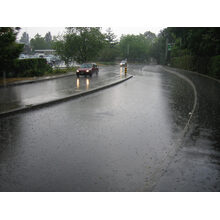 2005-07-25_13-06-29