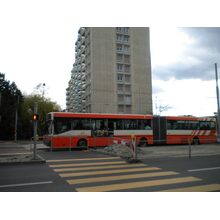 DSCN2739